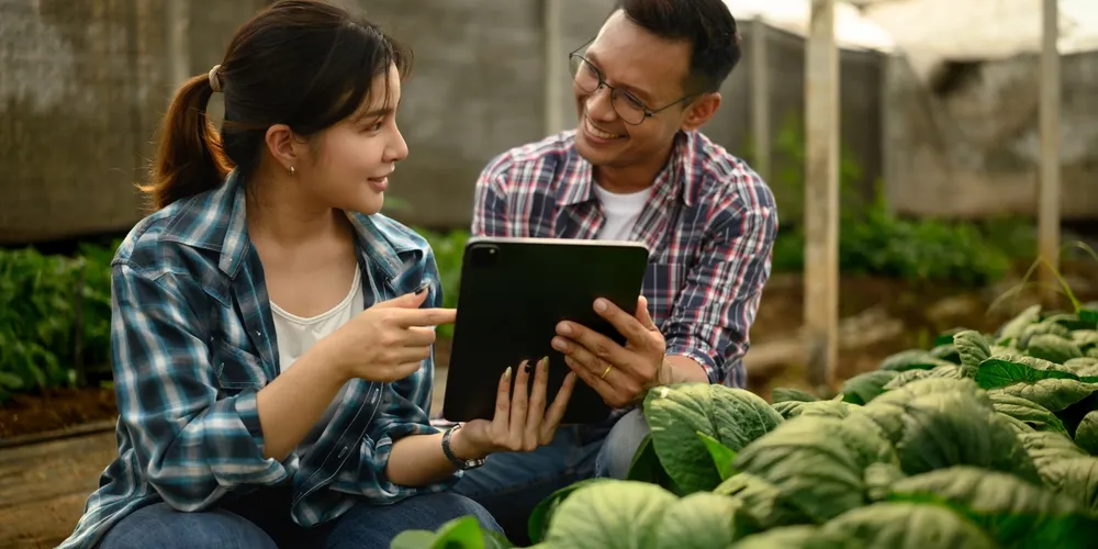 As cooperativas agropecuárias brasileiras conectam a produção no campo à alta tecnologia, armazenagem e industrialização, movimentando quase R$ 490 bilhões na economia