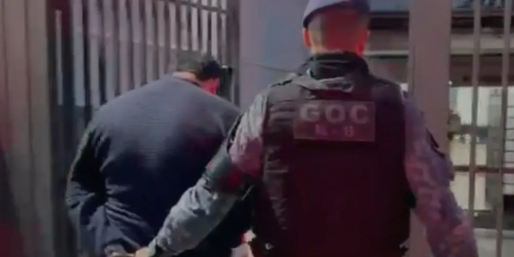 Dono de um bar no Pinheirinho, em Curitiba, foi preso após o cão farejador Titan localizar drogas escondidas no estabelecimento