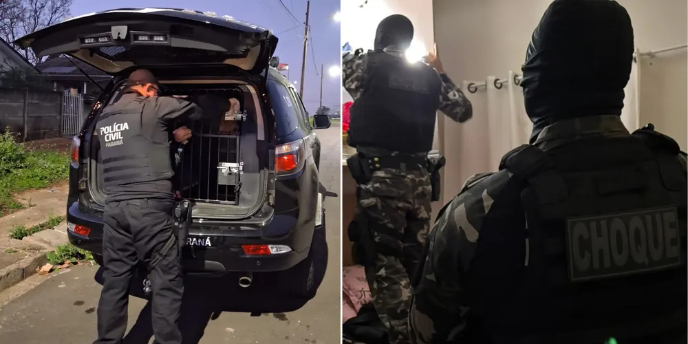 Os investigados presos possuem anotações criminais por diversos crimes