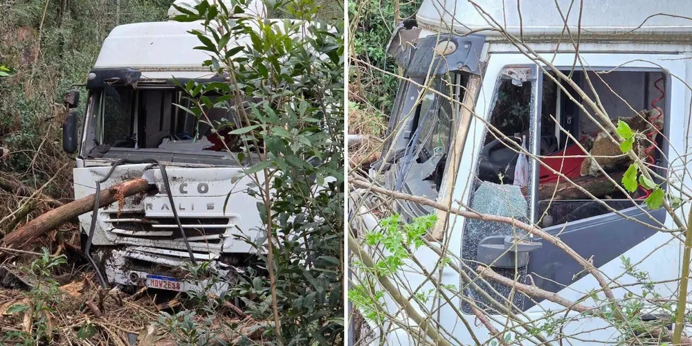 O caminhão invadiu a área de vegetação e atingiu as árvores