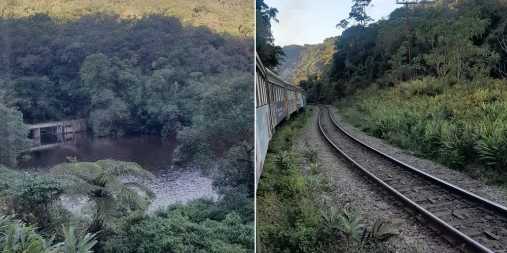 Cada capítulo foi concebido como uma narrativa independente, permitindo diferentes interpretações