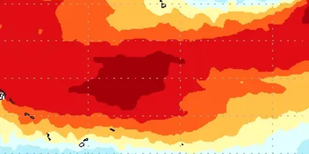 Temperaturas do oceano em 8 de julho de 2026