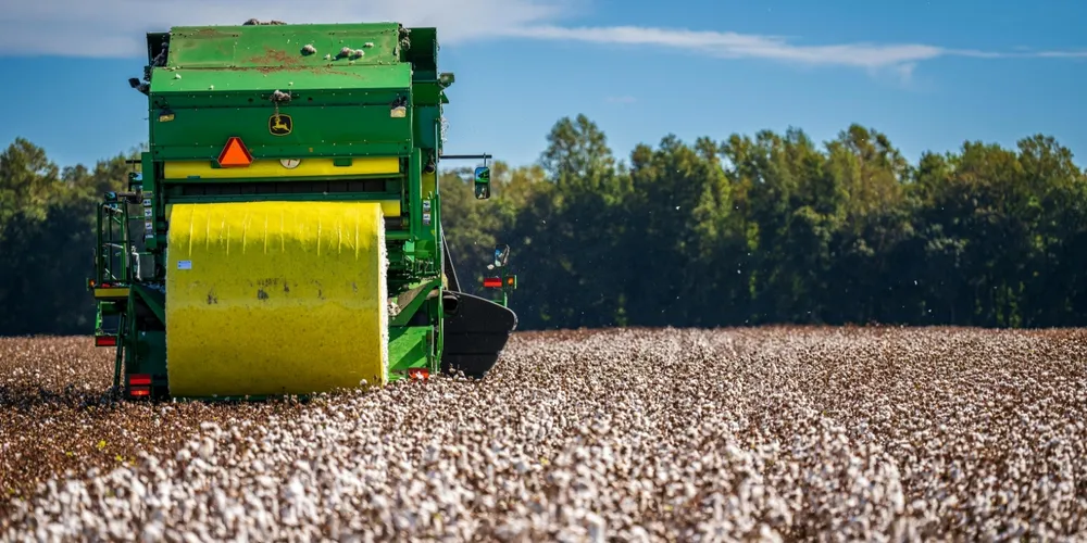 El Niño eleva umidade e exige manejo fitossanitário rigoroso no campo