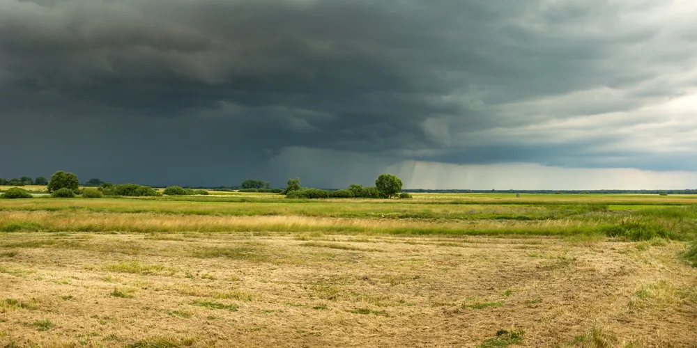 Embrapa apresenta conjunto de tecnologias e práticas para proteger lavouras e criações contra as variações do El Niño