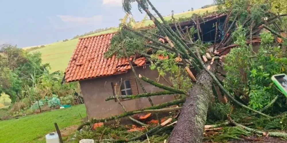 Arapoti registrou rajadas de vento que ultrapassaram 100 km/h