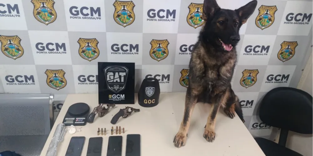 Policiais do GAT Bravo e GOC K9 encontraram dois revólveres, munições e 23 gramas de cocaína