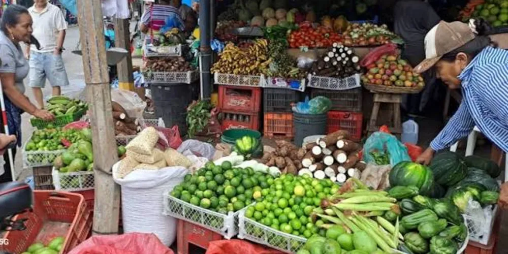 O encontro debateu segurança alimentar, estabilização de mercados agrícolas e a agricultura familiar