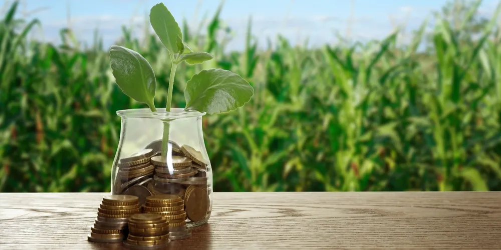 Levantamento inédito de inadimplência rural serve de base para que instituições financeiras e cooperativas calibrem suas ferramentas de análise de risco no início de 2026