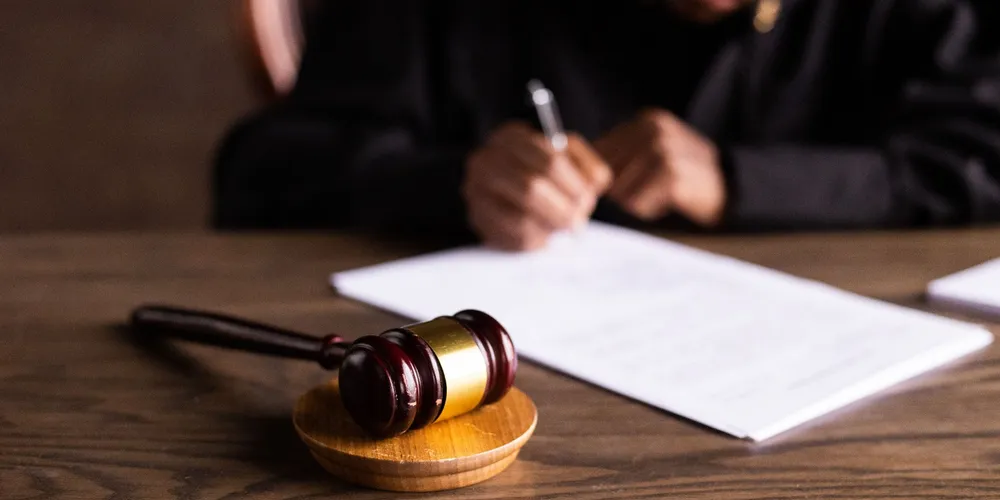 A iniciativa oferece ao público uma perspectiva diferente sobre a regulamentação