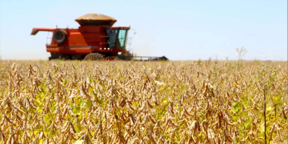 Agropecuária teve saldo positivo de 2,99% no saldo de empregos no primeiro semestre