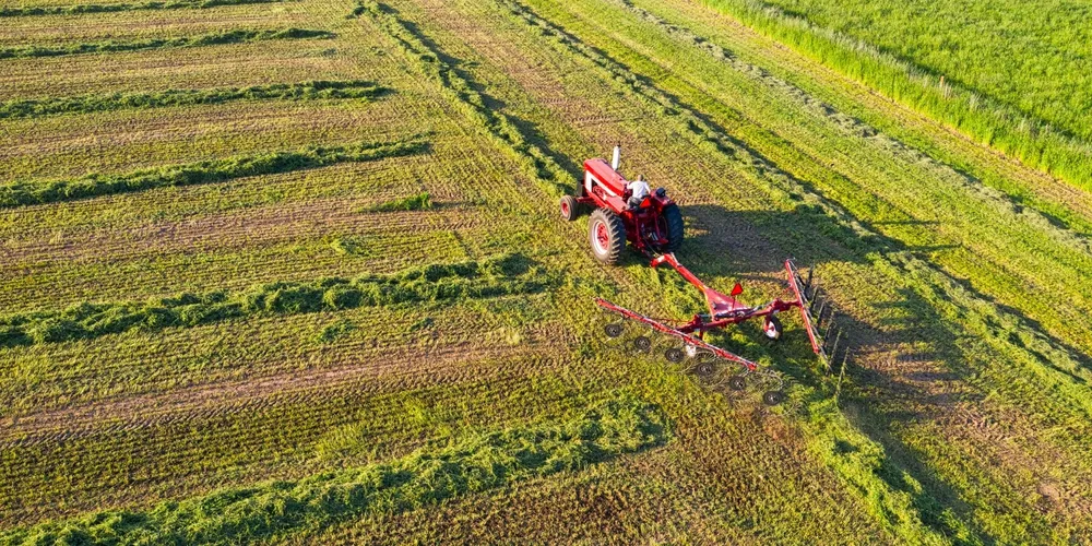 Propriedades rurais no Paraná mantêm ritmo acelerado de produtividade para garantir a receita bilionária que posiciona o estado na vanguarda do agronegócio nacional
