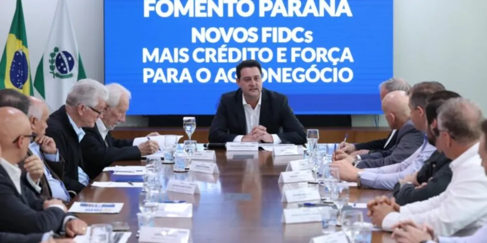 Recursos serão direcionados para investimentos de longo prazo em projetos da Frivatti, Pluma e Primato, buscando reduzir a dependência do Plano Safra