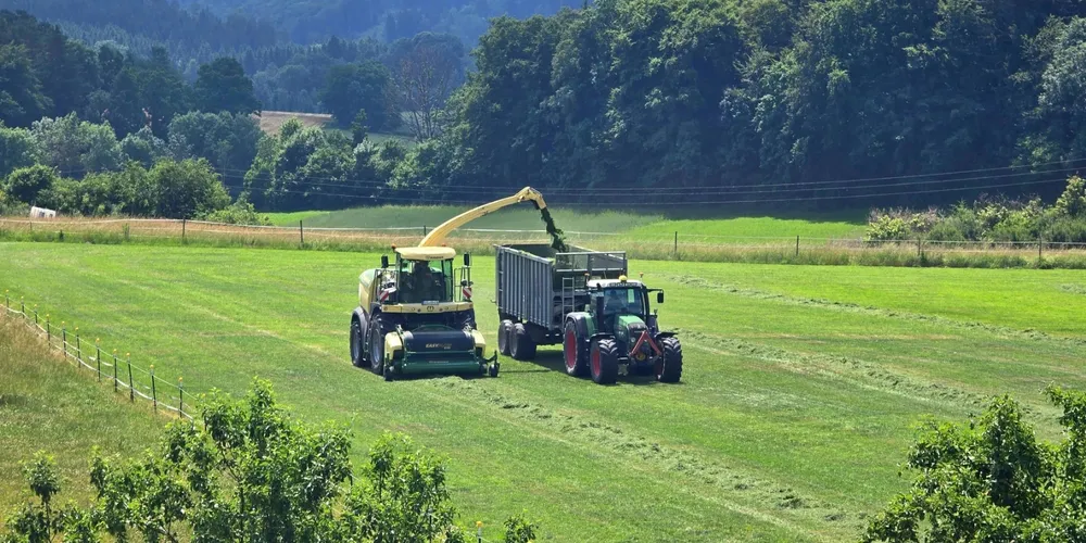 Ações de pavimentação em vias rurais miram a melhoria do escoamento agrícola paranaense