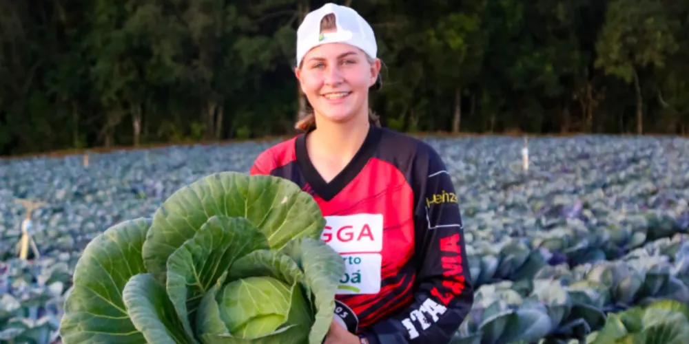 Os alimentos produzidos na área rural abastecem diariamente diversas famílias