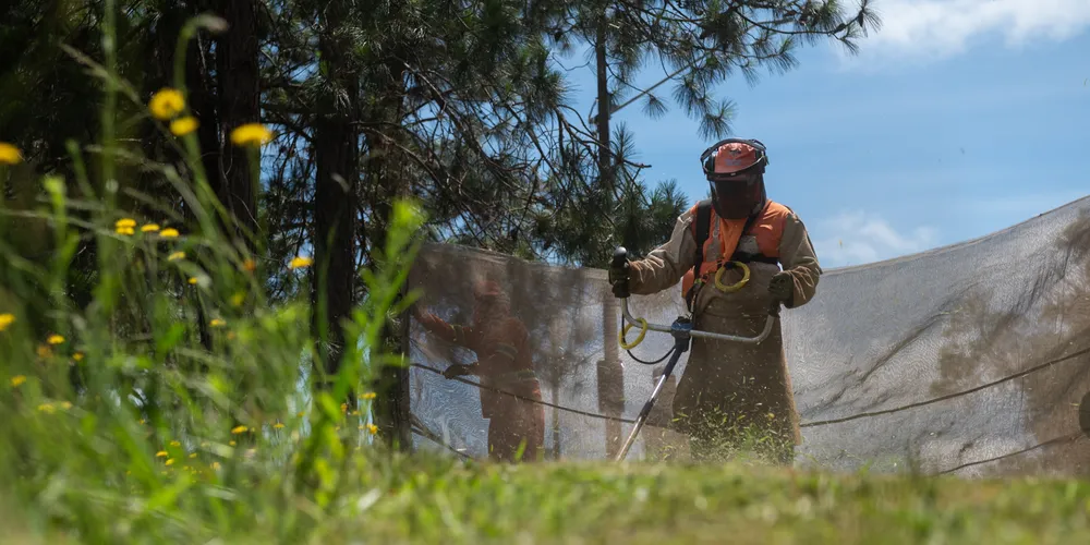 Todas as pessoas jurídicas que atenderem aos requisitos do edital poderão ser credenciadas, formando uma rede de prestadores disponíveis para atender às demandas do Município