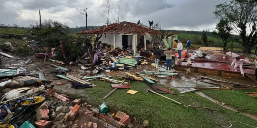Sem eletricidade, propriedades rurais do Paraná enfrentam riscos de perdas na pecuária e na produção leiteira