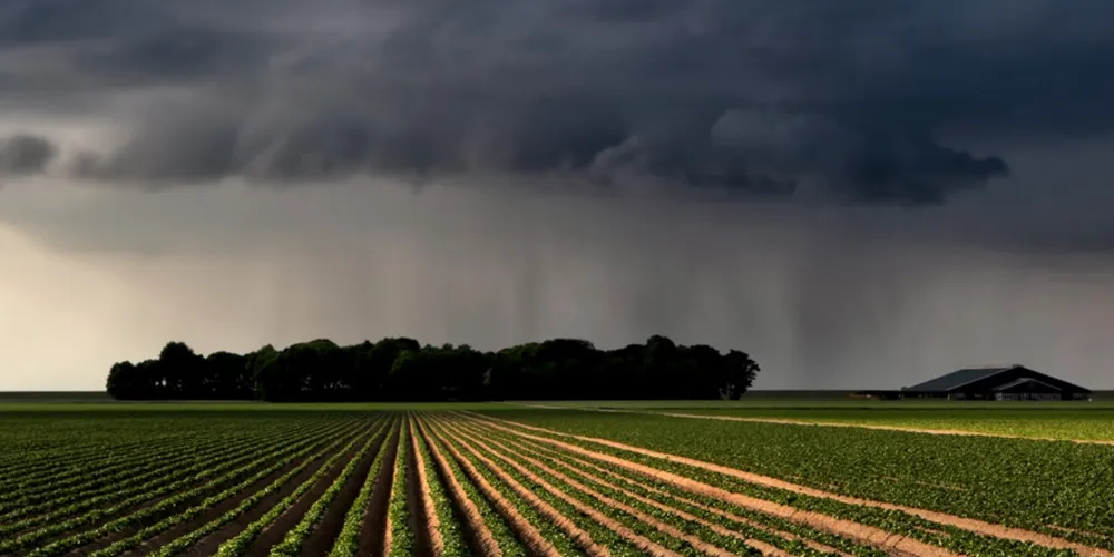 Lavouras expostas a eventos climáticos extremos intensificados pelo El Niño evidenciam a necessidade de um Seguro Rural robusto