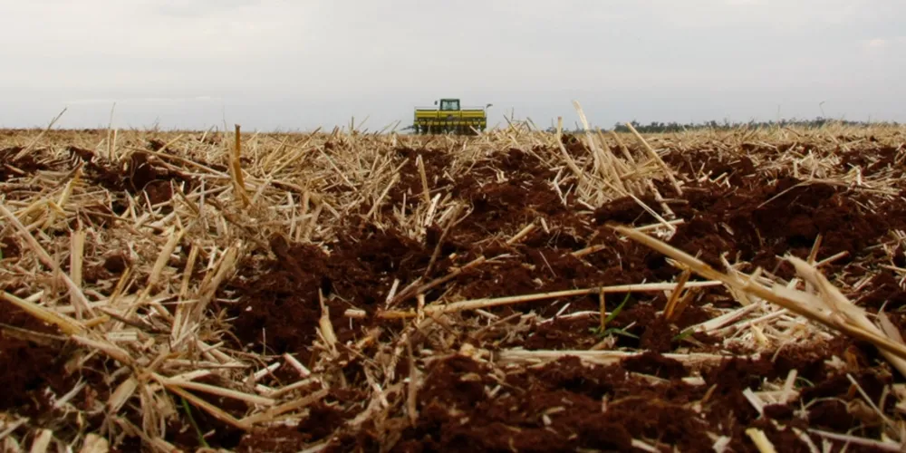 Produtores rurais do Paraná terão acesso a capacitações técnicas gratuitas sobre terraceamento, manejo e conservação do solo