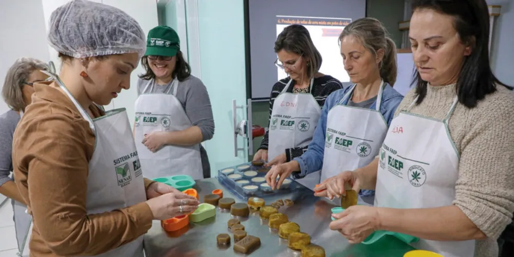 Aulas e capacitações gratuitas do Sistema FAEP buscam levar profissionalização, novas tecnologias e eficiência para o produtor rural paranaense
