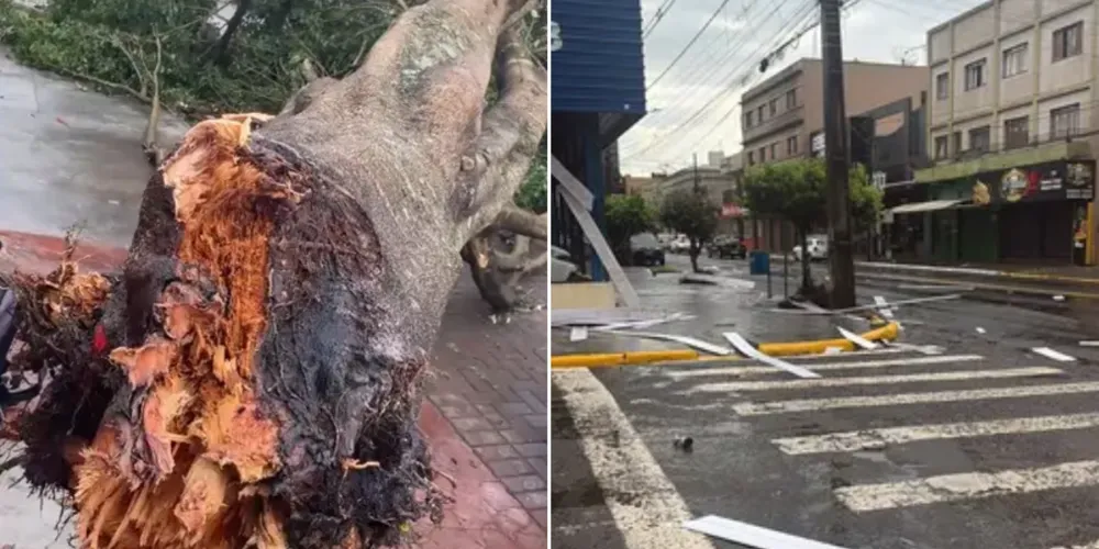 Temporal causa estragos em diferentes pontos de Apucarana