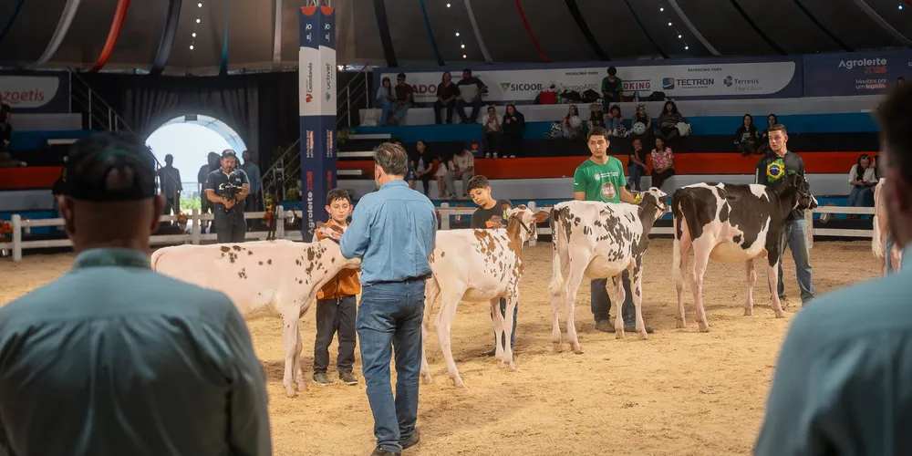 Seis animais entraram em pista e os participantes preencheram um ranking do primeiro ao sexto lugar, de acordo com as características observadas