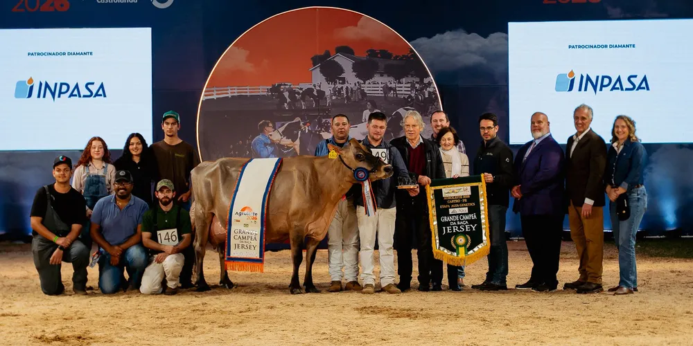 A vaca, do expositor Carlos Jacob Wallauer, de Salvador do Sul (RS), já foi eleita Campeã Suprema em 2024 e Grande Campeã da raça Jersey adulta em 2025