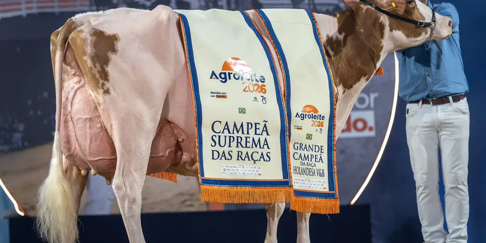 Além de conquistar o principal título da exposição, a vaca tornou-se a primeira representante da raça Holandesa Vermelha e Branca a eternizar seu nome