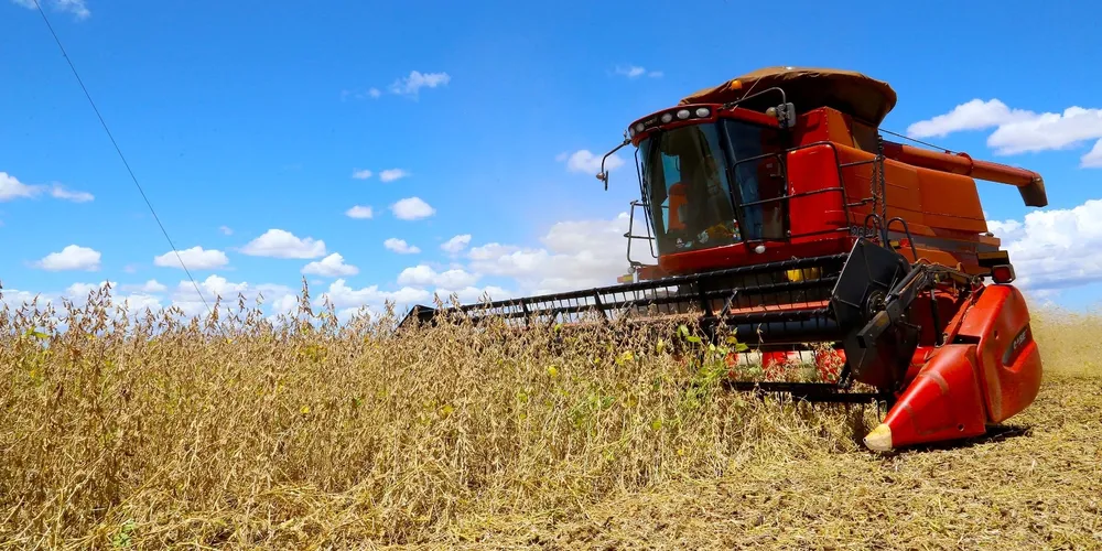 Soja, pecuária e avicultura lideram crescimento do agro local