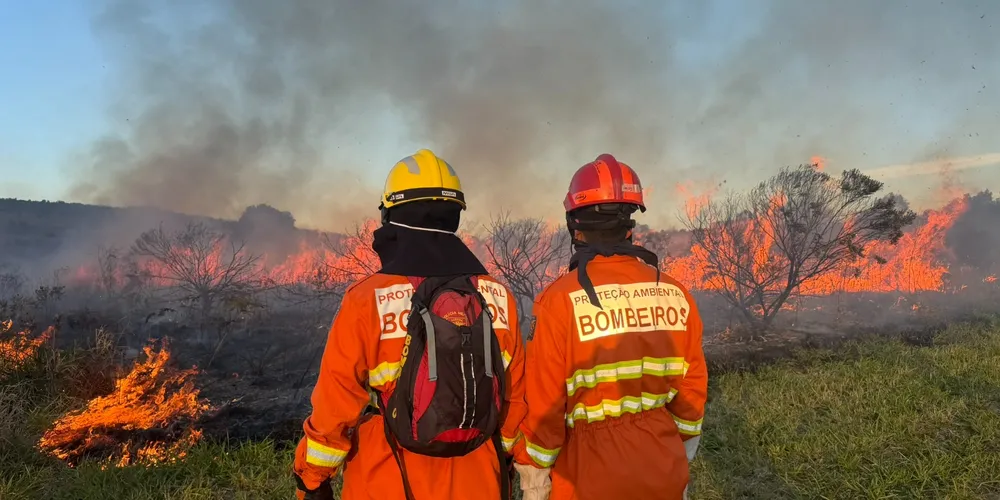 Capacitação integra a formação dos futuros bombeiros e permite que os alunos coloquem em prática conhecimentos de prevenção e combate em um ambiente de vegetação natural
