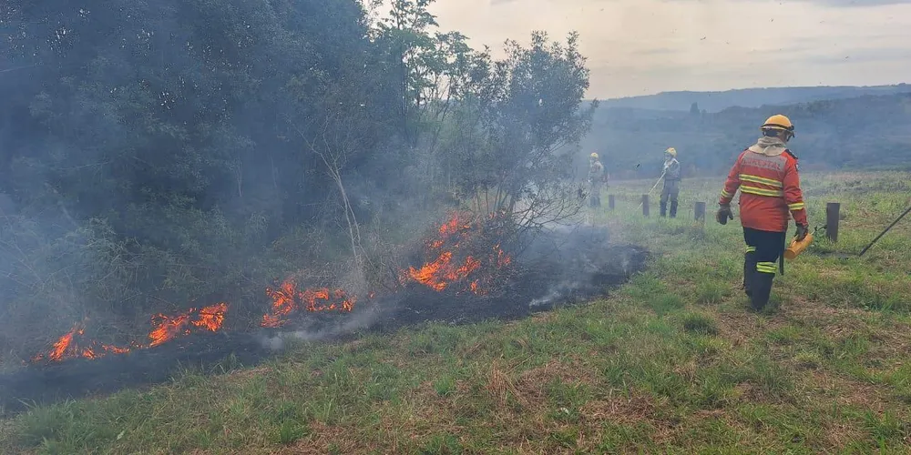 A ação, em parceria com o Corpo de Bombeiros do Paraná, ocorreu entre domingo (23) e sexta-feira (28), e abrangeu uma área de 120 hectares (aproximadamente 168 campos de futebol) da Unidade de Conservação (UC)