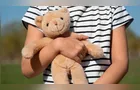 Homem furta urso de pelúcia em loja e acaba detido em Arapoti