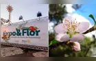 Expo&Flor celebra 15 anos e busca projetos para ações solidárias em PG