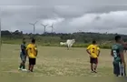 Futebol raiz: boi invade campo, assusta jogadores e vira atração em amistoso