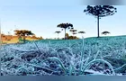 Paraná deve ter nova onda de frio com temperaturas perto de 0°C em agosto