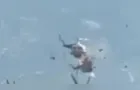 Colisão entre helicópteros na Grécia deixa dois mortos