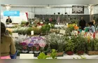 Expo&Flor entra em contagem regressiva para 15ª edição em PG