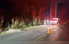 Homem morre atropelado na PRC-487 e motorista foge em Cândido de Abreu