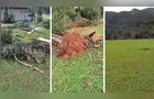Vendaval provoca estragos e levanta suspeita de tornado em Tibagi
