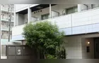 Mulher morre ao ser atingida por homem que caiu de prédio