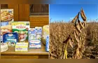 Boletim Agro destaca estreia da Lactalis e alta da soja