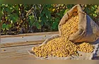 Boletim Agro traz alta da soja em Paranaguá e críticas ao Plano Safra
