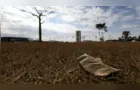 Região Sul tem risco de temporal e granizo; outras regiões têm calor