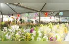 15ª Expo&Flor terá Jardim Sensorial, Bonsai da Amizade e corrida solidária em PG