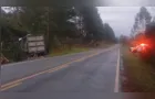 Caminhão sai da pista e atinge árvore na PR-340, em Telêmaco Borba