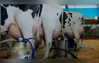 Boletim Agro destaca tendências econômicas no Paraná