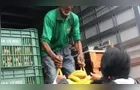 Feira Verde estará no 'Borato' e em mais 14 vilas de Ponta Grossa; veja sua rua