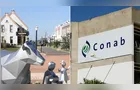 Boletim traz principais notícias do agro nos Campos Gerais