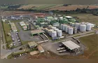 Boletim apresenta destaques do agronegócio no Paraná