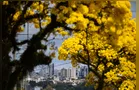 Prefeitura formaliza apoio a pesquisa voltada à biodiversidade e à restauração ecológica em PG