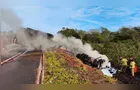 Caminhoneiro morre carbonizado após veículo tombar e pegar fogo no Paraná